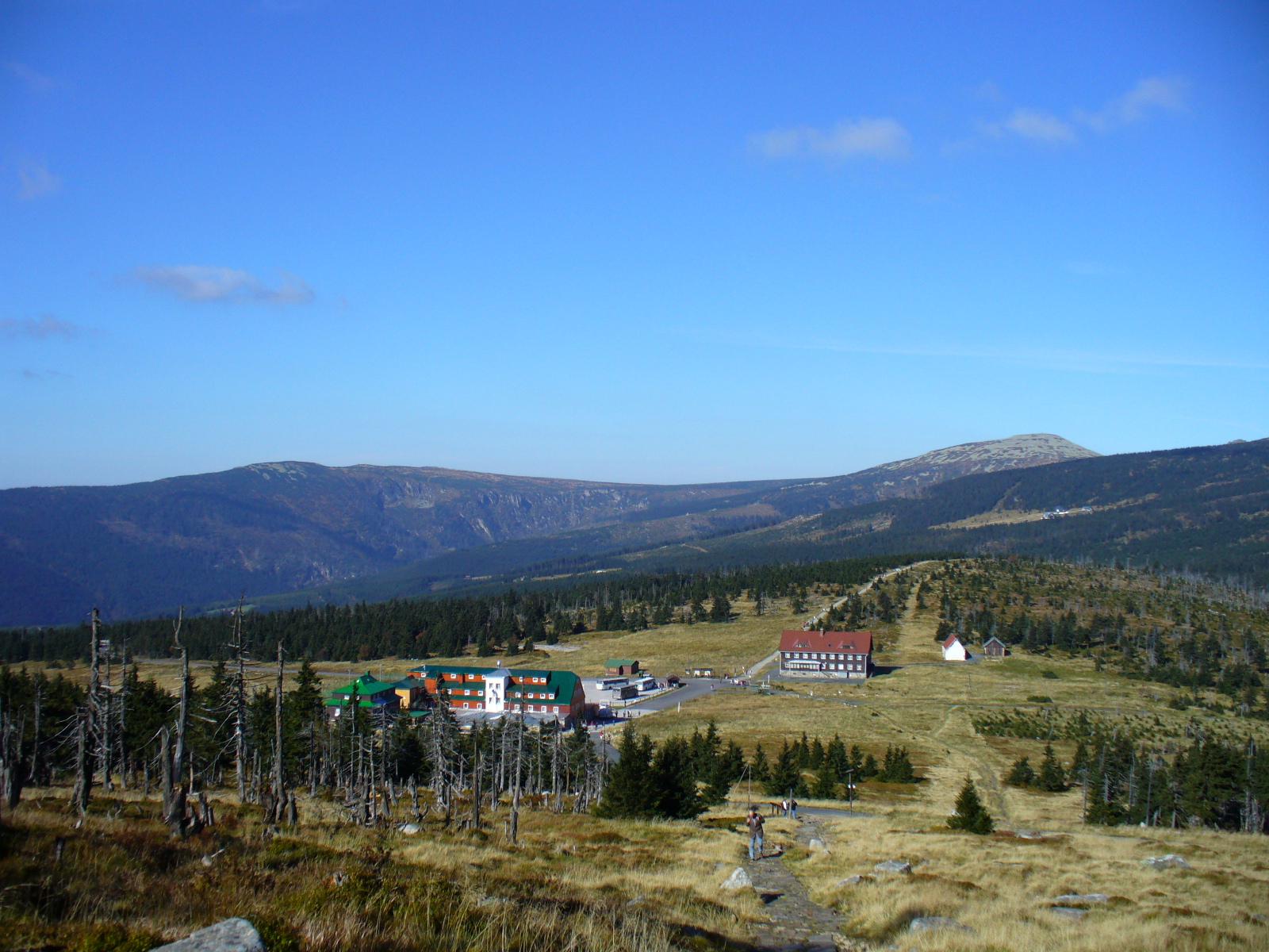 Odrodzenie